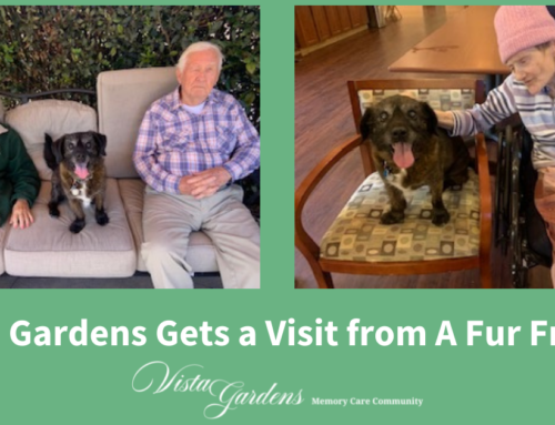 Vista Gardens Gets a Visit from A Fur Friend