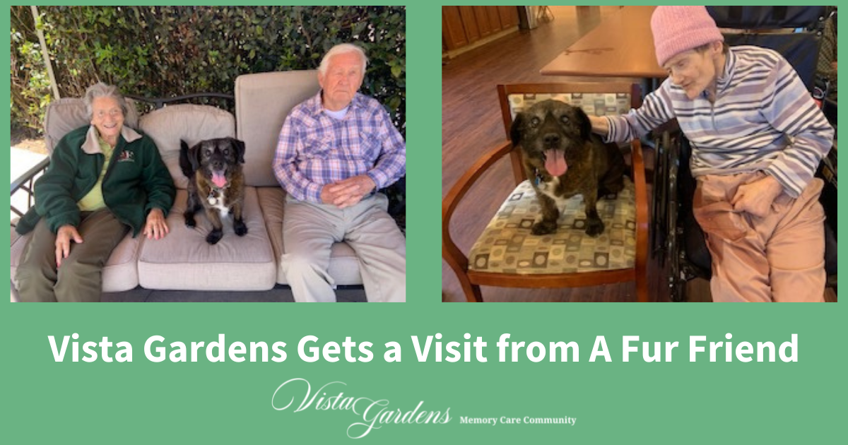 Vista Gardens Gets a Visit from A Fur Friend