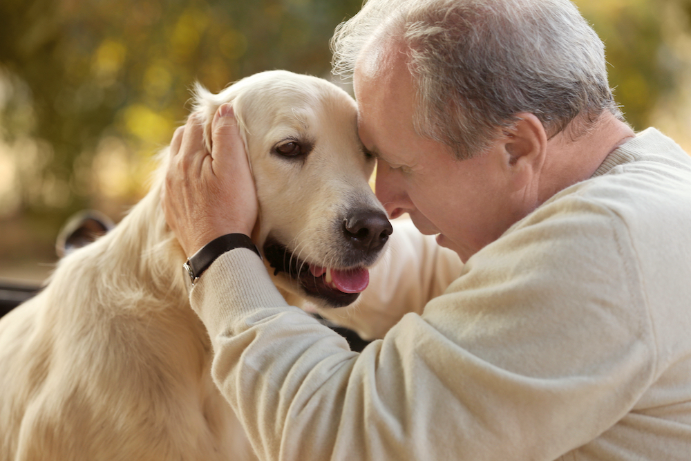 A senior man pets a golden lab outdoors