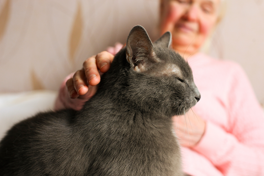 A senior woman pets a black cat at her senior living community 